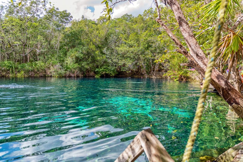 Der Cenote Carwash oder auch Cenote Aktun Ha bei Tulum