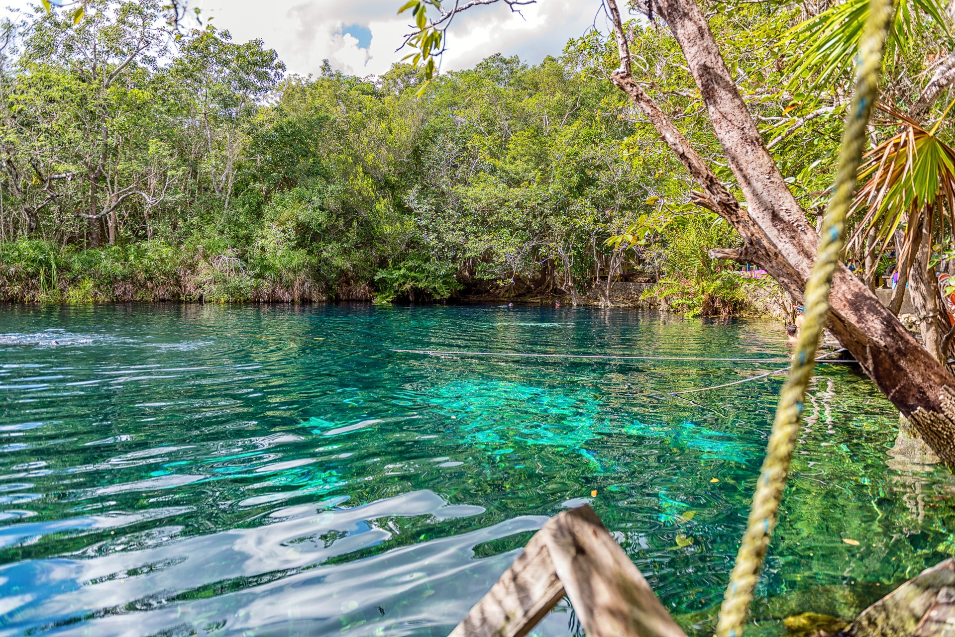 CENOTE AKTUN HA QUINTANA ROO MEXICO