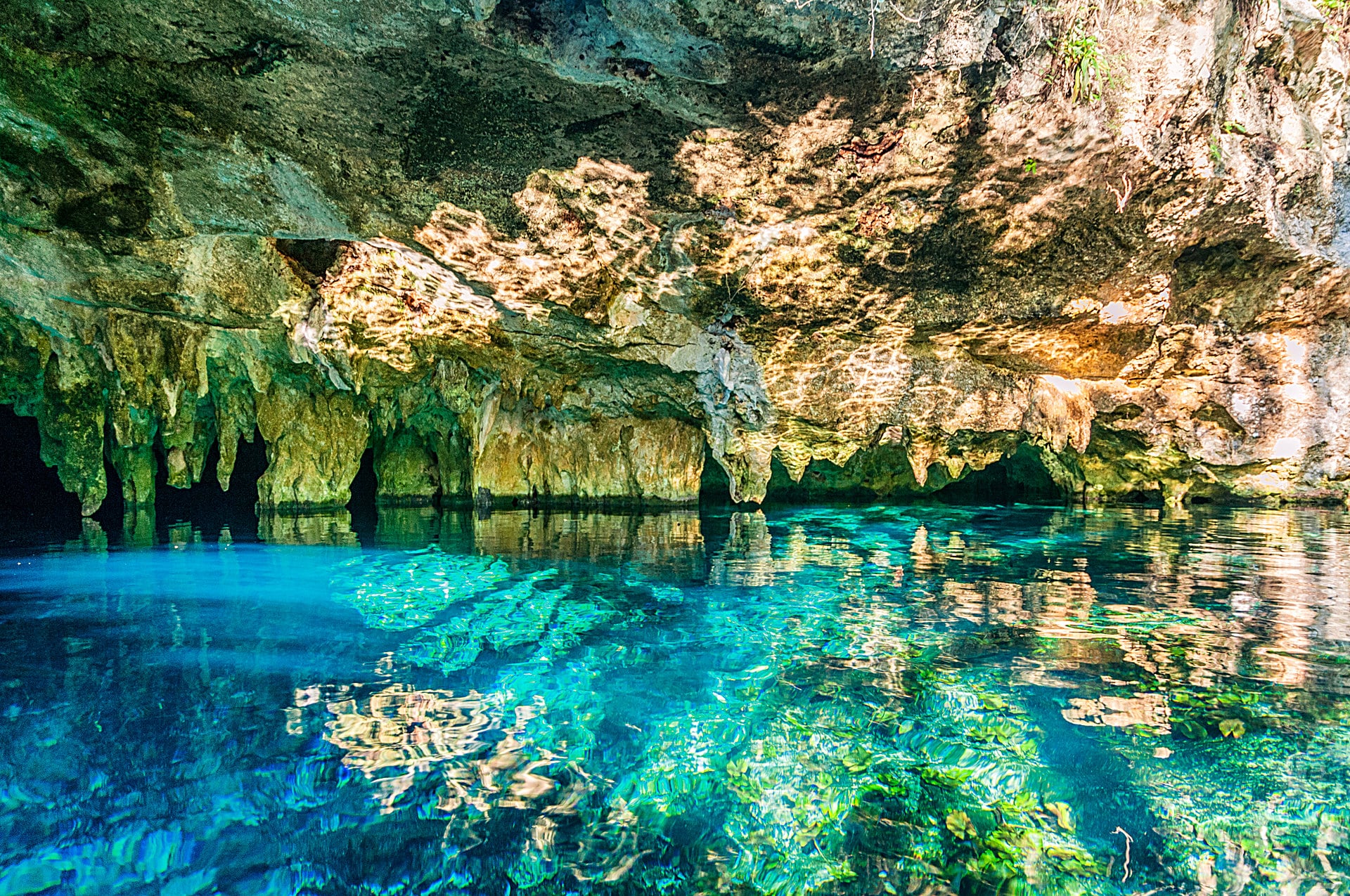 Gran Cenote en Tulum - Cenote