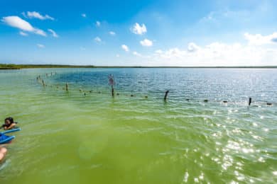 Laguna Kaan Luum mit Cenote im Zentrum